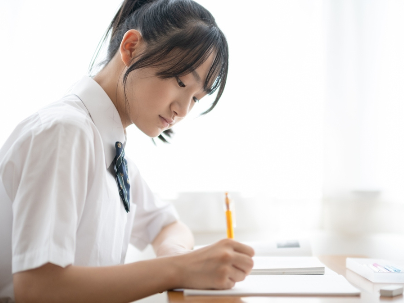 "secondary student attending 1-to-1 English class"